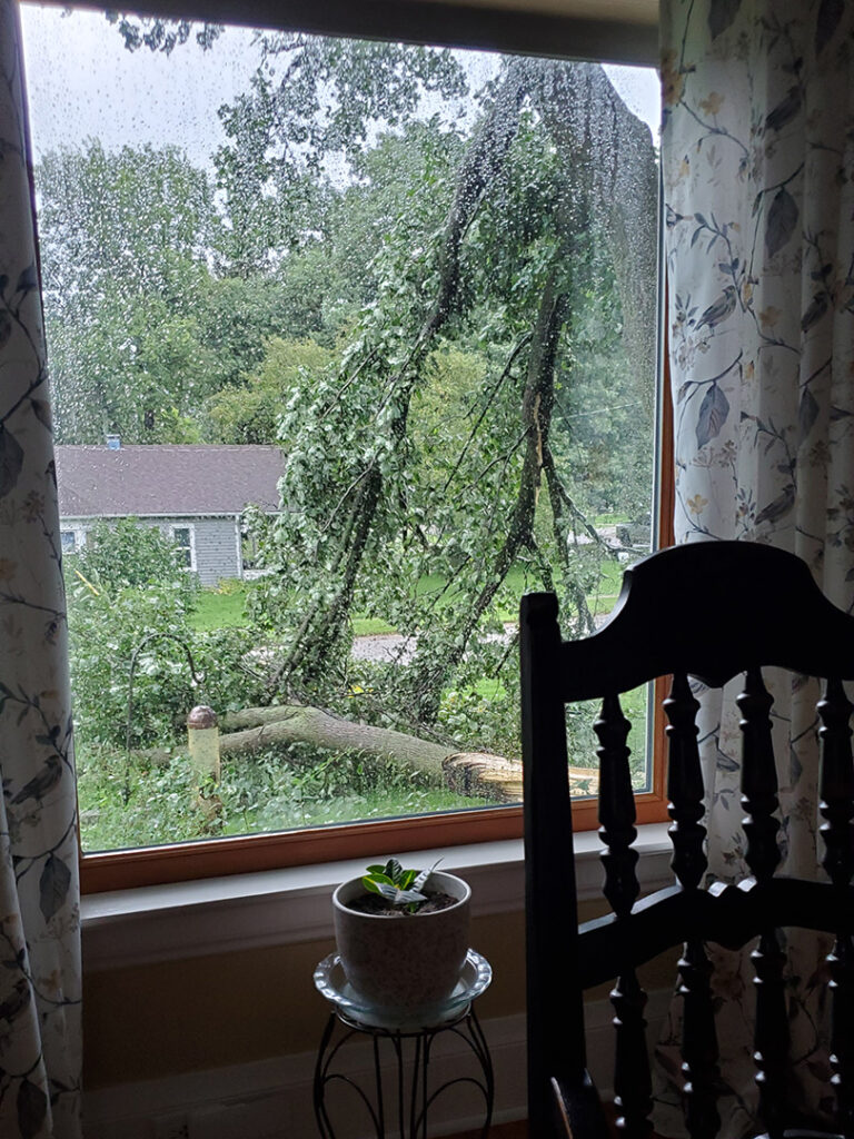 August storm damage at Bakers Bed and Breakfast