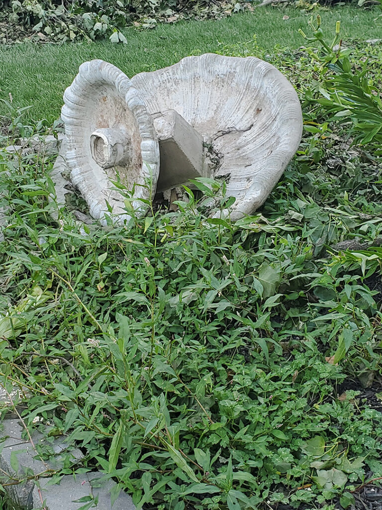 August storm damage at Bakers Bed and Breakfast
