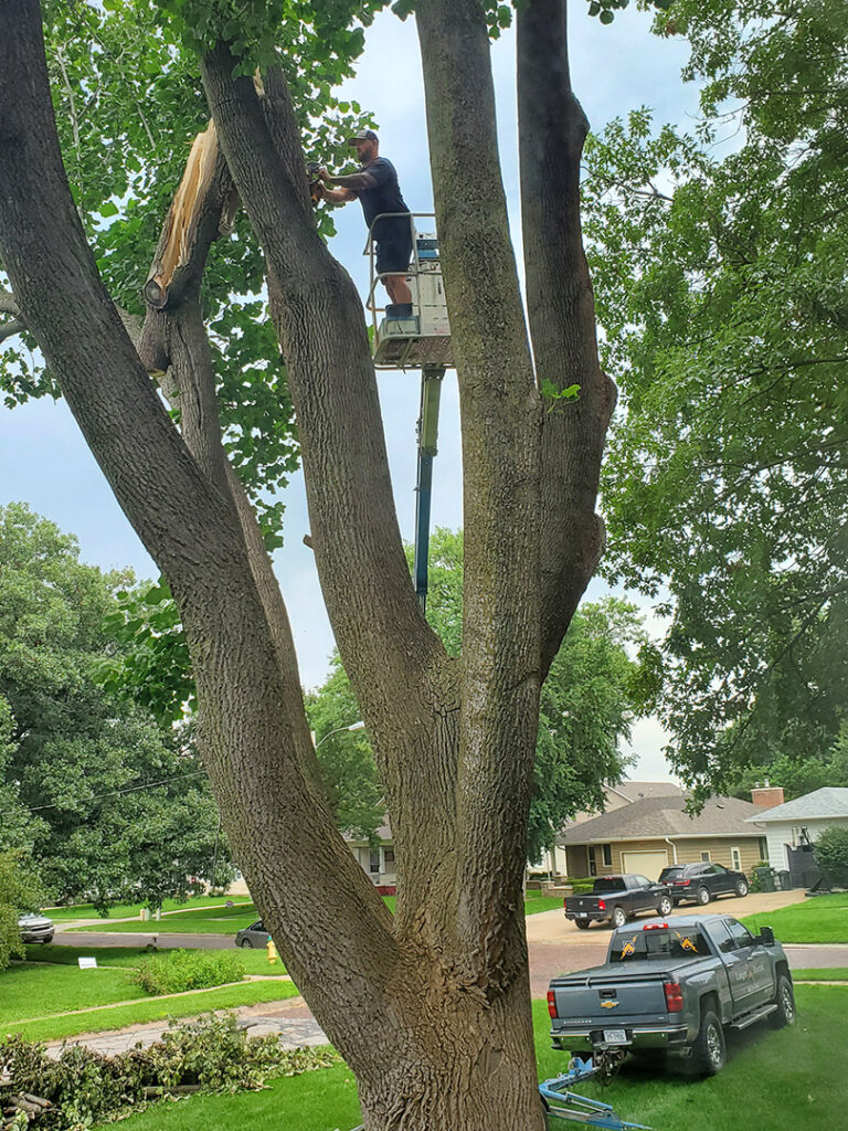August storm damage at Bakers Bed and Breakfast